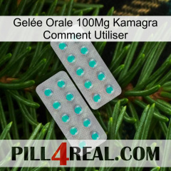 Gelée Orale 100Mg Kamagra Comment Utiliser 29